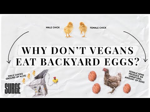 Do vegans eat eggs?